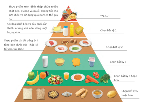 Các bạn đã biết gì về tháp dinh dưỡng?