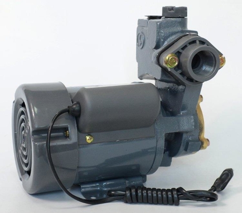 Selton Máy bơm nước chân không 150BE