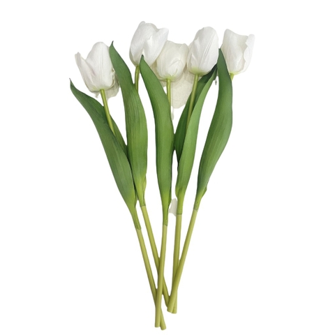 SET HOA TULIP 35CM 5PCS - TRẮNG