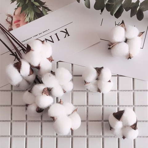 Sự khác biệt giữa vải cotton pha và vải cotton 100%