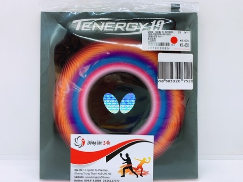 Butterfly Tenergy 19 nội địa Nhật