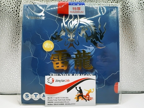Yasaka Thunder Dragon