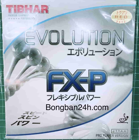 TIBHAR Evolution FX-P