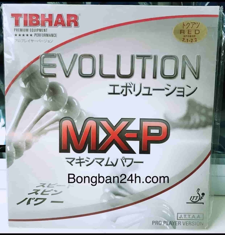 TIBHAR Evolution MX-P