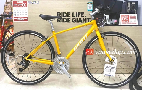 GIANT ESCAPE R3 MS 2022 (Nội địa Nhật Bản)