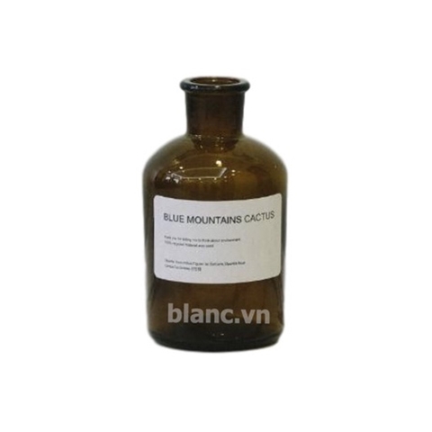 Bình thủy tinh Blue mountains catus cổ lọ 500ml