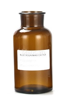 Bình thủy tinh Blue mountain cactus 1000ml