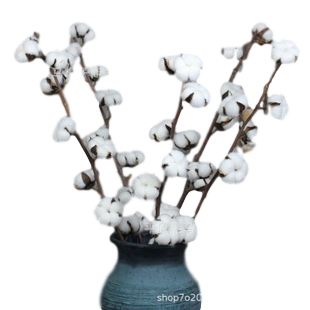 Cành cotton 9 bông