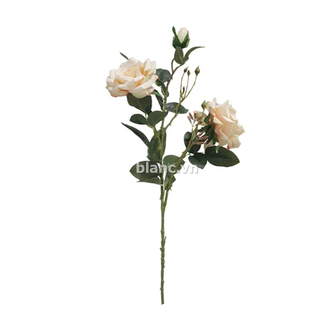 Cành hoa hồng 70cm
