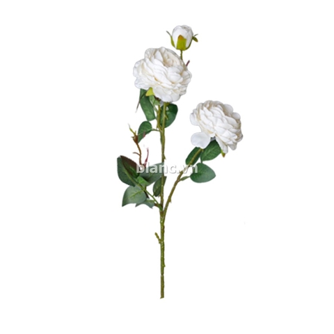 Cành hoa mẫu đơn 63 cm