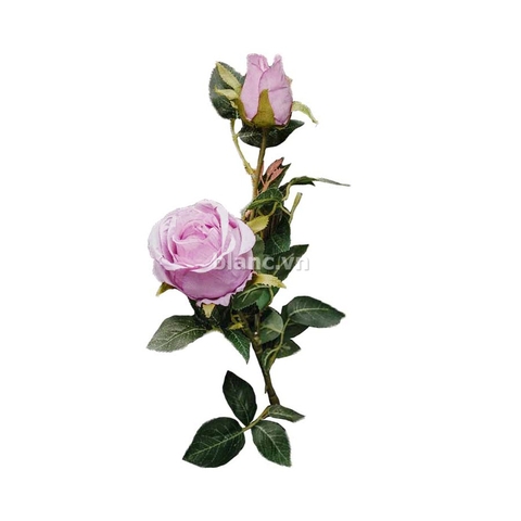 Cành hồng Bulgari 69cm