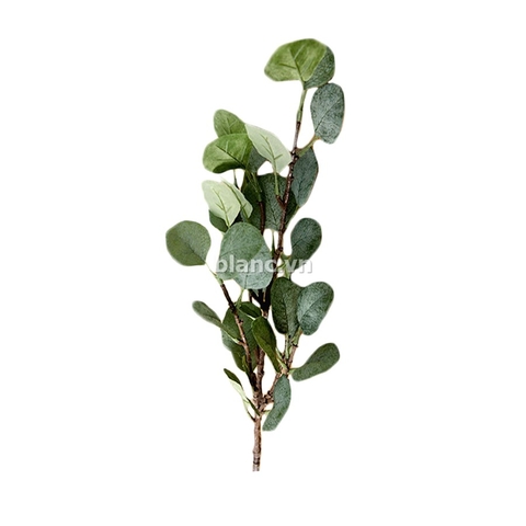 Cành lá bạch đàn 90cm