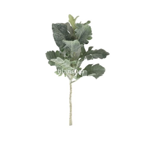 Cành lá cúc nhỏ