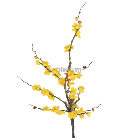 Cành mai vàng 115 cm