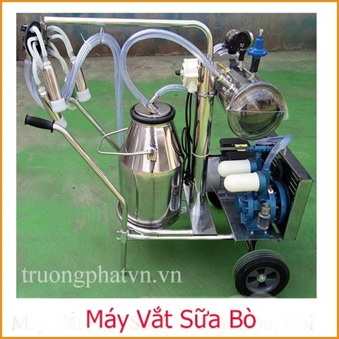 Máy Vắt Sữa Bò