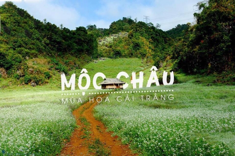 MỘC CHÂU- NƠI SẼ KHIẾN BẠN MÊ MẨN BỞI CẢNH SẮC TUYỆT ĐẸP