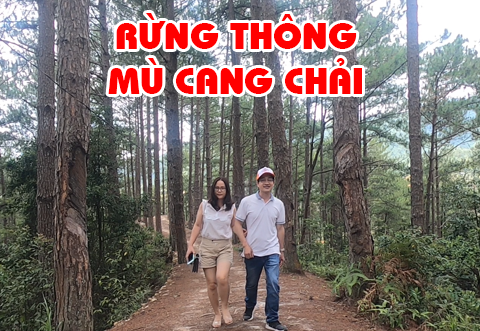 Du lịch vùng Tây Bắc - [Số 1] Khám phá Rừng thông Dế Xu Phình cùng Hưng Việt Travel