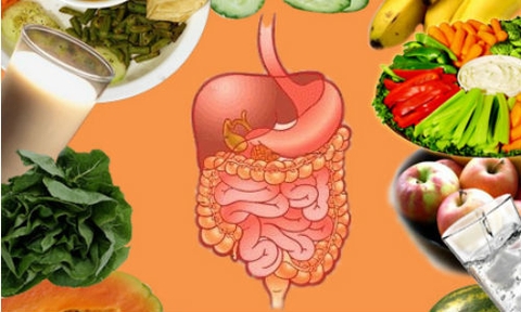 6 thực phẩm tốt cho đường ruột