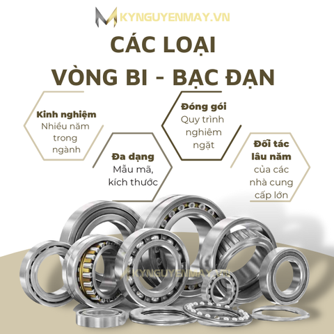 Khám phá ngay TOP 15 các loại vòng bi công nghiệp hàng đầu hiện nay