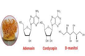 "Adenosine" ngôi sao mới nổi trong ngành sắc đẹp