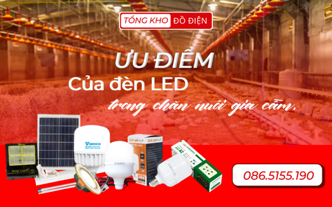 Ưu điểm của đèn LED trong chăn nuôi gia cầm.