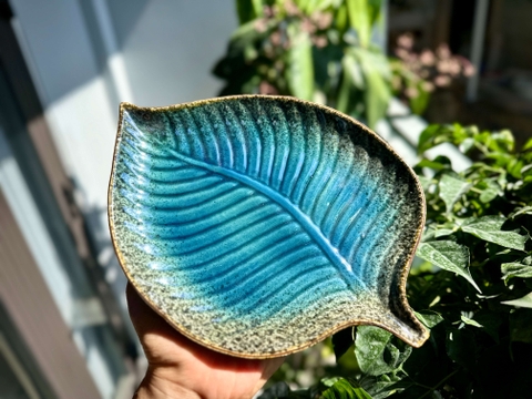 bát đĩa men đồi mồi