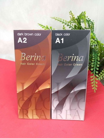 Thuốc nhuộm tóc Berina