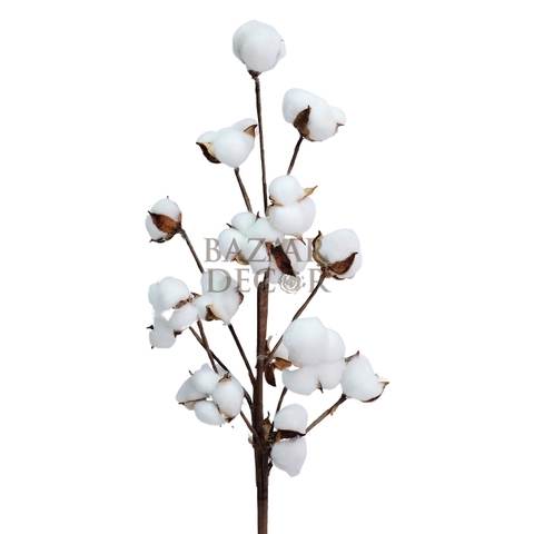 Cành hoa bông gòn khô 18 bông 75cm | Hoa cotton