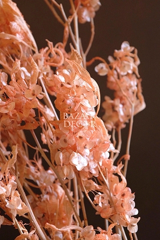 Bó hoa khô đậu bướm 60cm 60gr - hồng cam