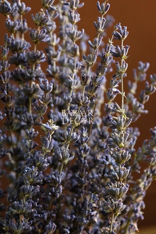 Bó hoa khô lavender 50gr 55cm| Oải hương