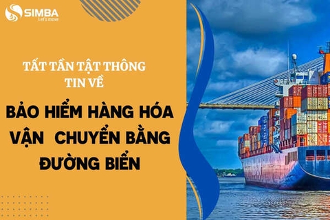 Tất tần tật thông tin về bảo hiểm hàng hóa vận chuyển bằng đường biển