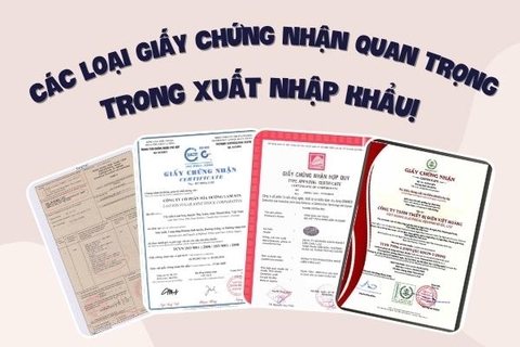 Các loại giấy chứng nhận quan trọng trong Xuất Nhập Khẩu!