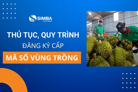 Tất tần tật thông tin về thủ tục, quy trình đăng ký cấp mã số vùng trồng