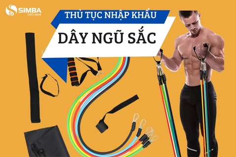 Bật mí chi tiết thủ tục nhập khẩu dây ngũ sắc