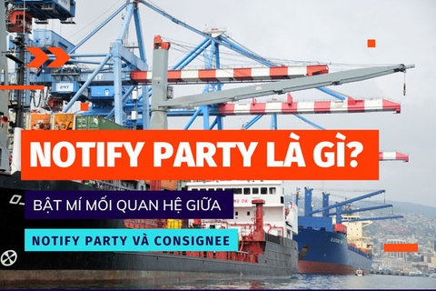 Notify party là gì? Bật mí mối quan hệ giữa Notify party và Consignee