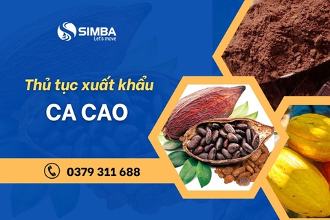 Thủ tục xuất khẩu ca cao theo quy định mới nhất hiện nay