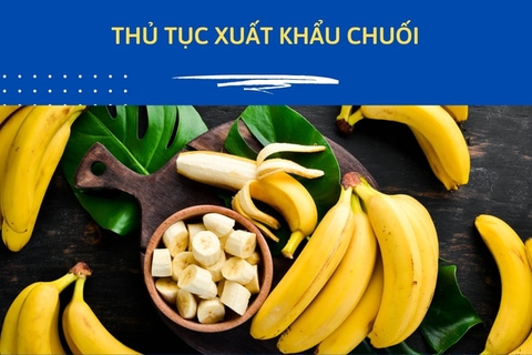 Thủ tục xuất khẩu chuối tươi mới nhất theo quy định hiện nay