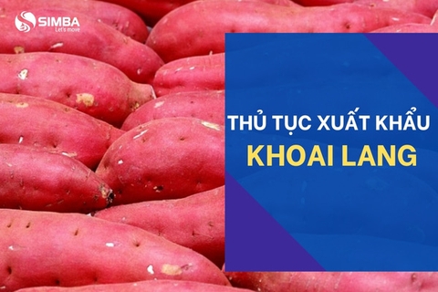 Thủ tục xuất khẩu khoai lang mới nhất theo quy định hiện nay