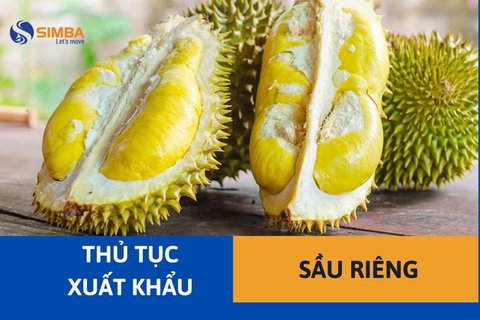 Thủ tục xuất khẩu sầu riêng chi tiết nhất