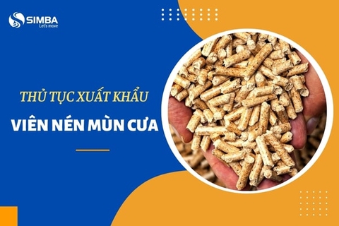 Thủ tục xuất khẩu viên nén mùn cưa và những lưu ý cần nhớ