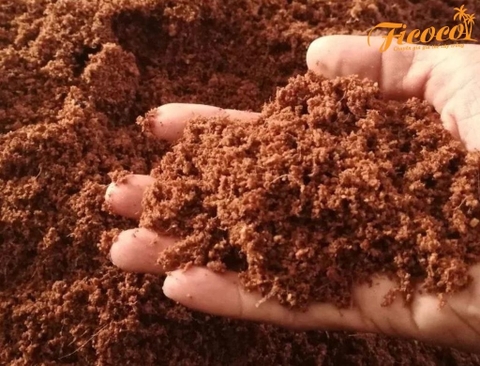 TÍNH NĂNG VÀ LỢI ÍCH CỦA XƠ DỪA TRONG TRỒNG CÂY