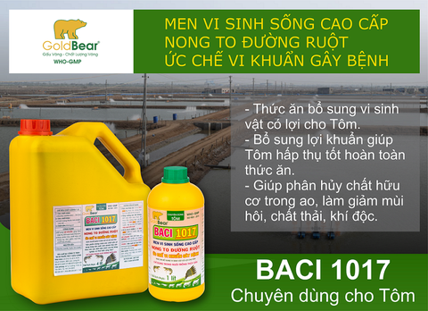 NHỮNG ĐIỀU CẦN LƯU Ý TRONG AO NUÔI TÔM