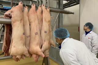 Thịt lợn 280 ngàn/kg, nhập khẩu tăng 100% vẫn không đủ ăn