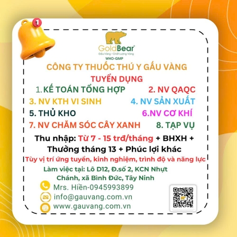 TUYỂN DỤNG THÁNG 11/2025