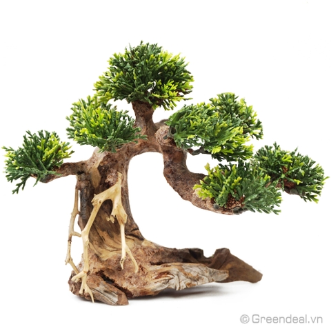 Bonsai Driftwood GH-PLASTIC/21