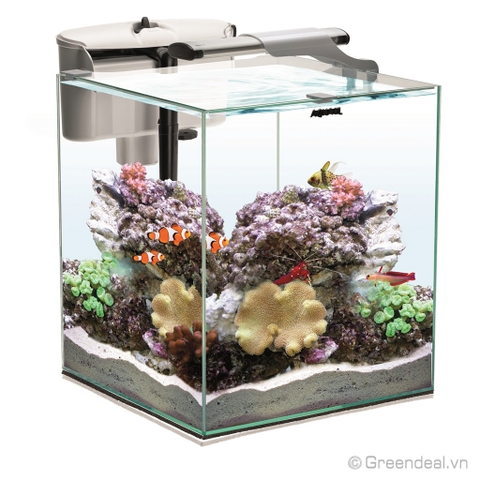 AQUAEL - Nano Reef Duo