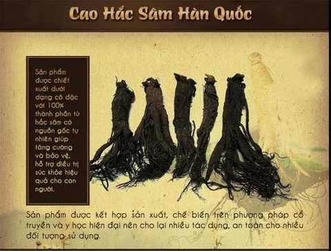 Hắc Sâm tại Hà Nội - Cosmocare nhận sỉ lẻ