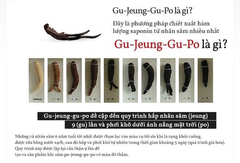 Quá trình sản xuất Hắc Sâm Cheon Ji Hyun