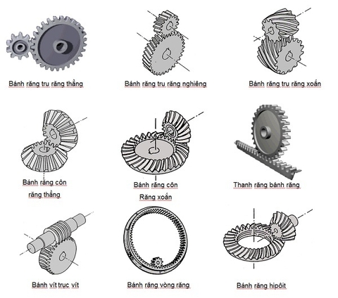 Bánh răng là gì ? Các loại bánh răng