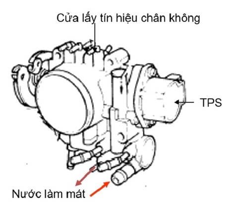 BƯỚM GIÓ LÀ GÌ ? TÌM HIỂU VỀ BƯỚM GIÓ